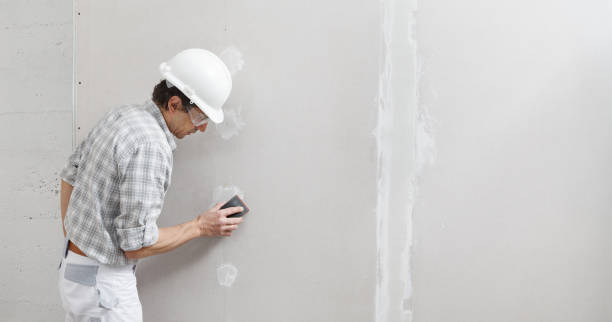 Best Attic Mold Removal  in Delcambre, LA